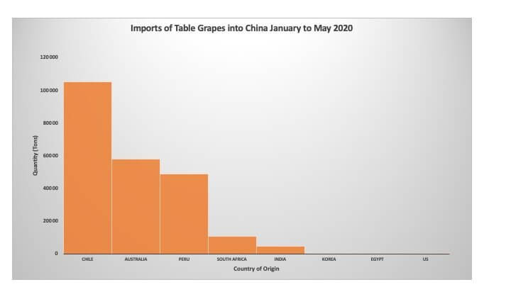 Imports of Table Grapes into China January to May 2020