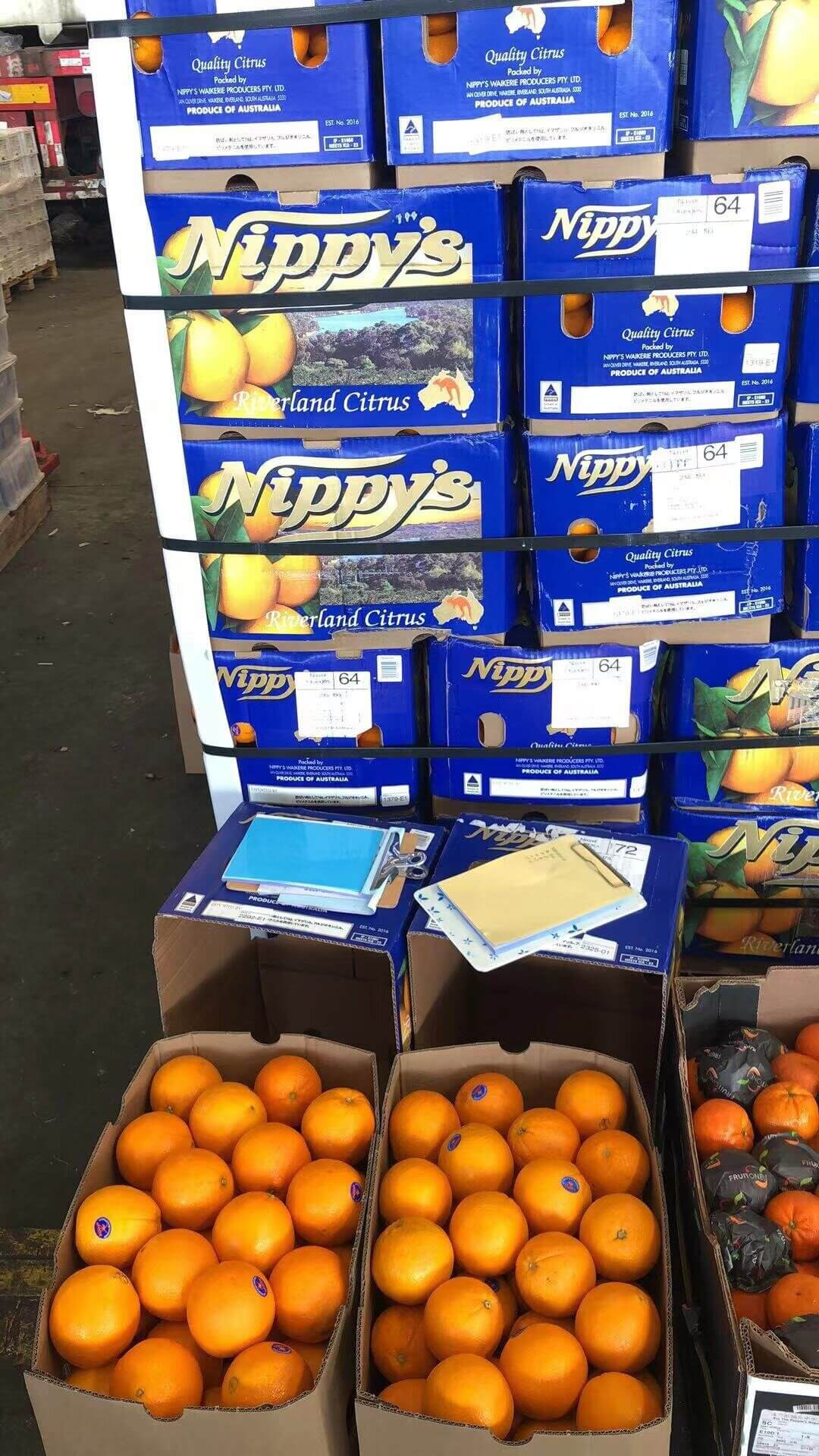 nippys-oranges.jpg