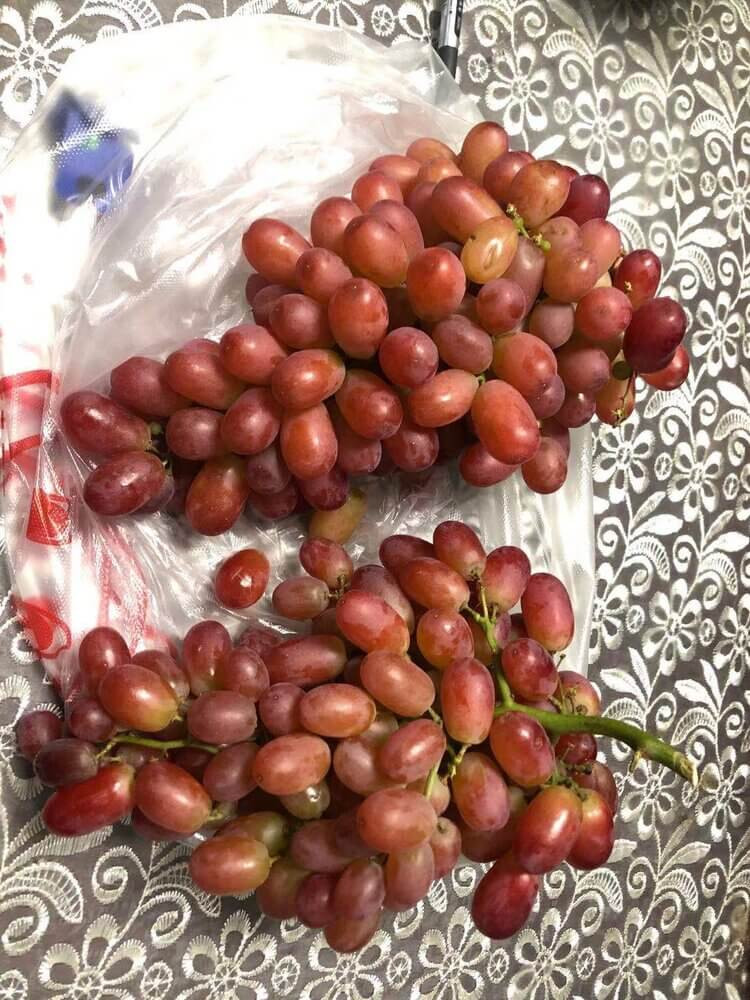 Jufeng Grapes