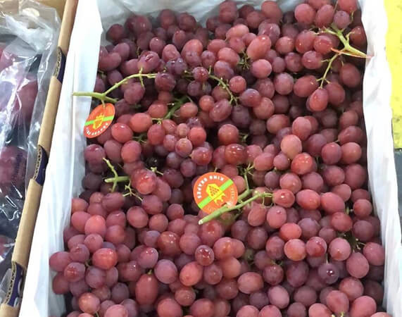 Close up of Ralli Grapes near Jiaxing Market