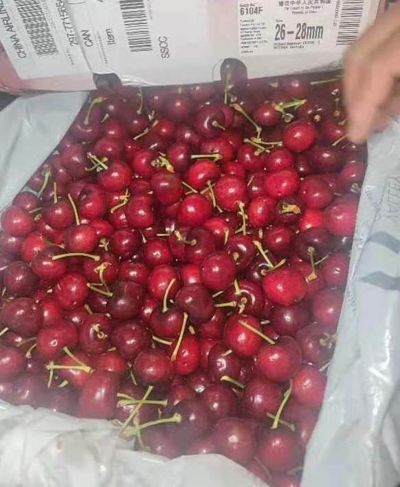 First Australian cherries arrived in Guangzhou market