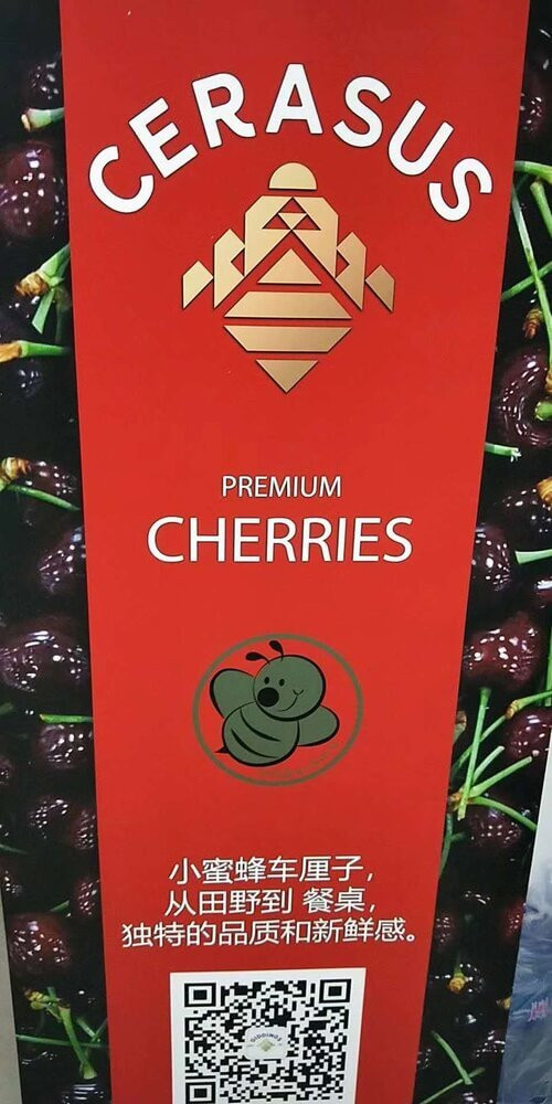 cerasus-cherries-banner.jpg