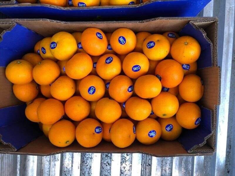 South African Oranges on display in China, July 2020